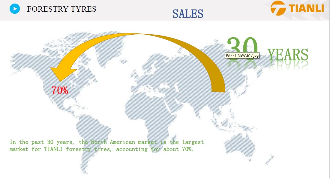 Forestry Tyres Tianli