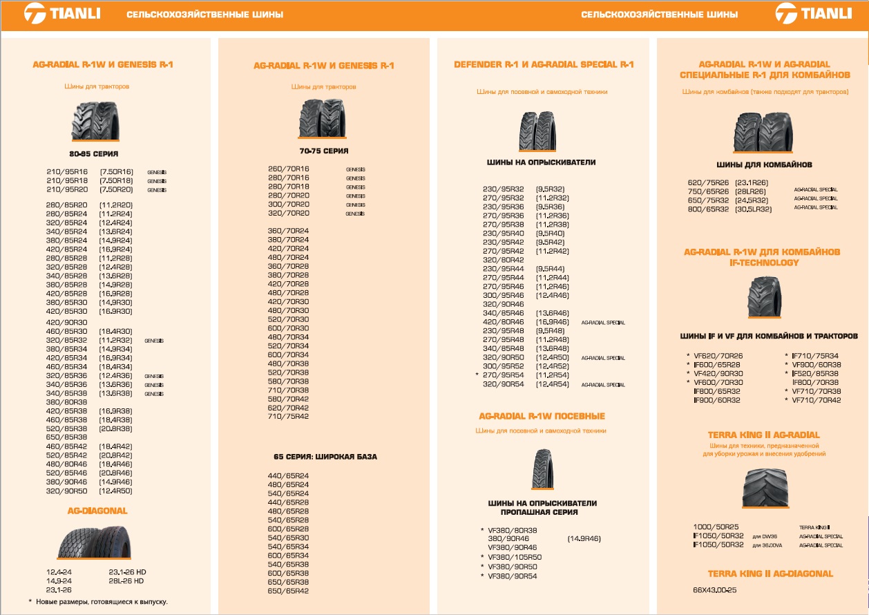 Tianli-2020-booklet